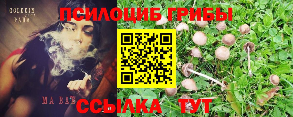 Галлюциногенные грибы ЛСД  Галлюциногенные грибы мицелий  Чебаркуль  Вход с VPN 